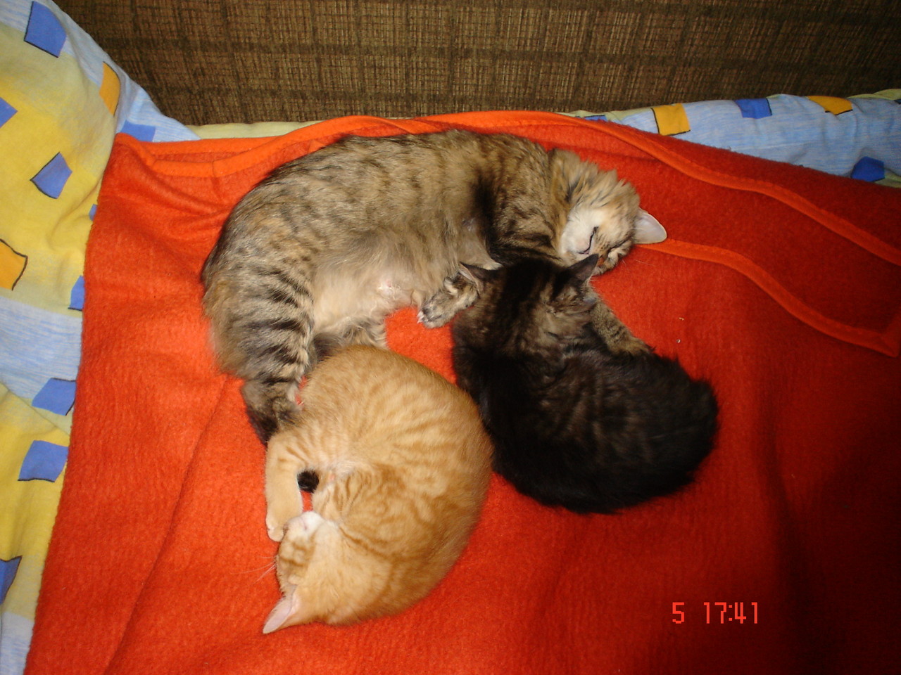 1235059400_igallery_image0000006.jpg